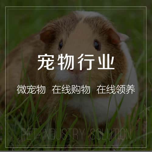 呼伦贝尔宠物