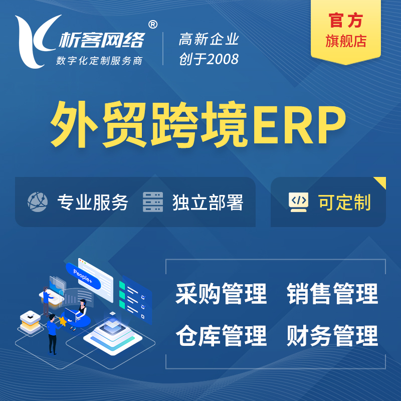呼伦贝尔外贸跨境ERP软件生产海外仓ERP管理系统